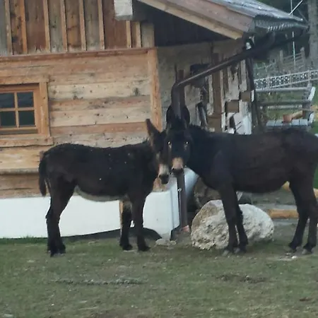 Luef Appartamento Mönichkirchen