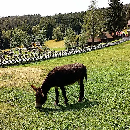 Luef * Mönichkirchen