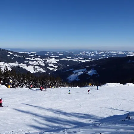 Luef Διαμέρισμα Mönichkirchen