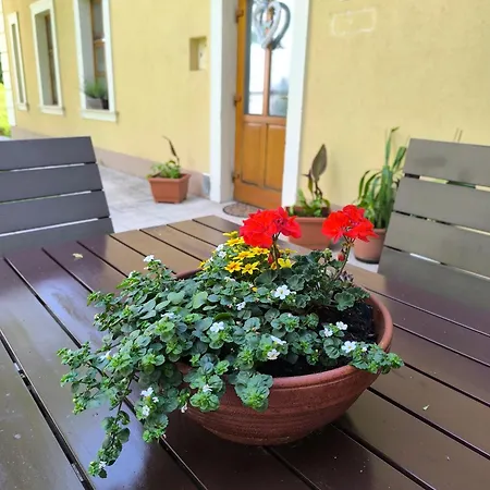 Appartement Luef Mönichkirchen