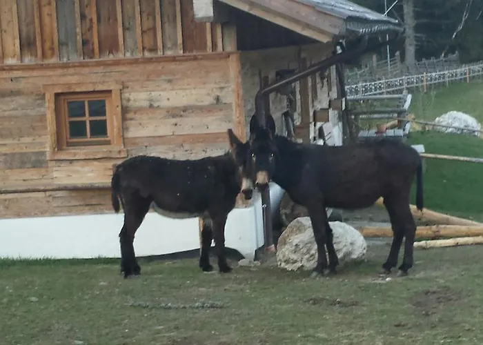 Luef Apartment Moenichkirchen