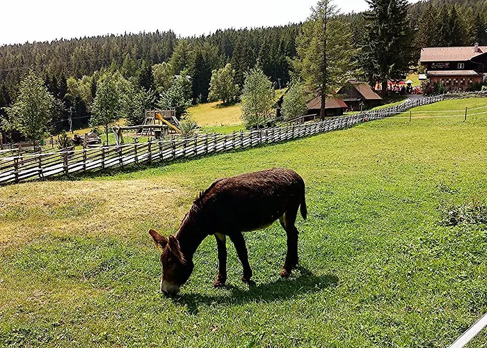 Luef * Moenichkirchen